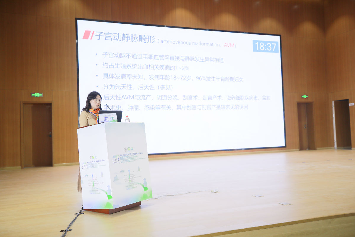6罗红.JPG