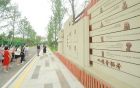 交流学习拓思路  互学互鉴促发展——自贡市妇幼保健院来我院交流学习